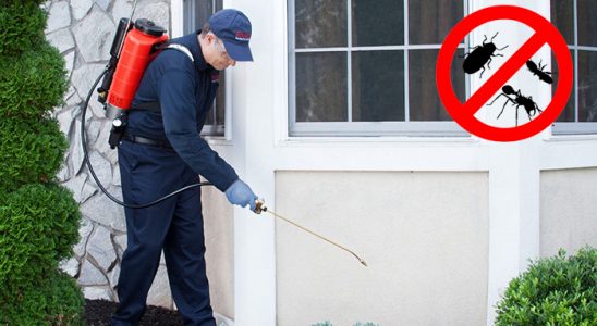 Van Pire İlaçlama böcek ilaçlama ve haşere kontrolü — ilaclama-tr.com